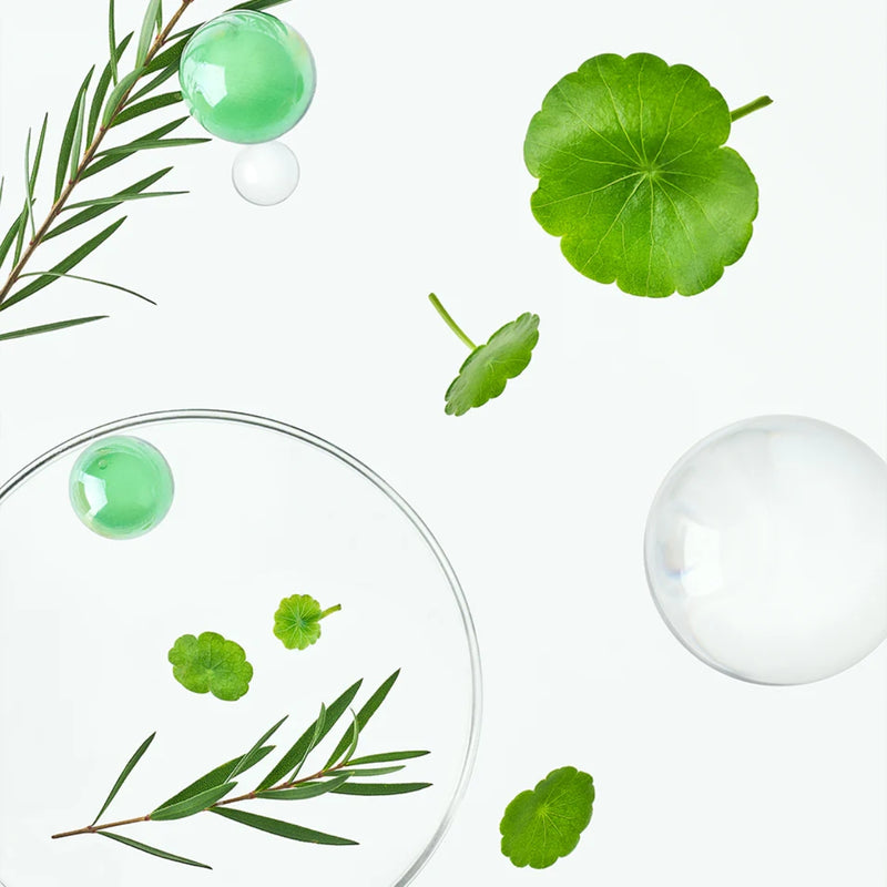 Crema facial Tocobo Cica Calming Gel Cream 75 ml