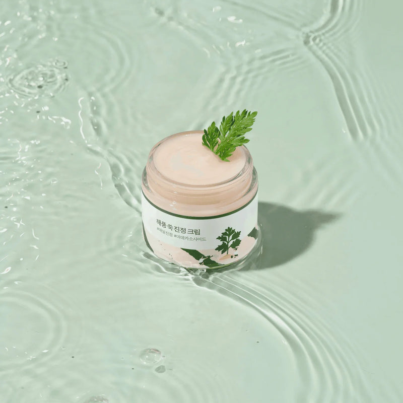 Crema Round Lab Mugwort Cream 80 ml – Planet Skin